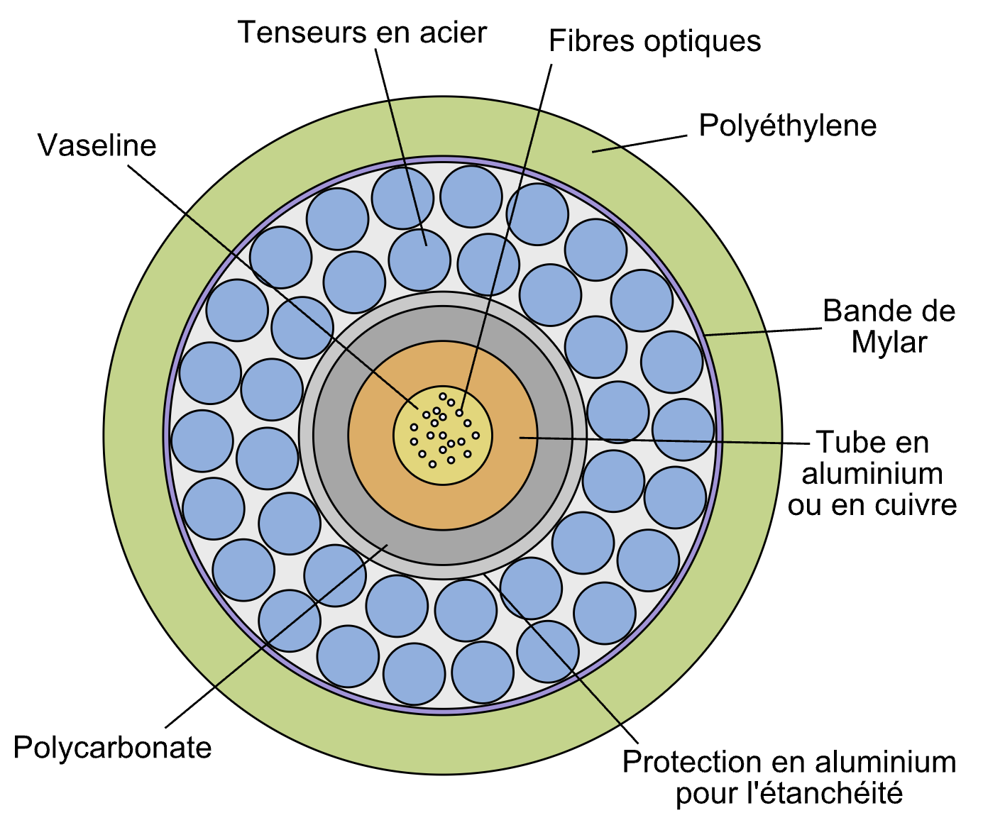 Coupe d'un câble sous-marin : les fibres optiques occupent le centre, à peine plus épais qu'un crayon. Le reste est de la protection.